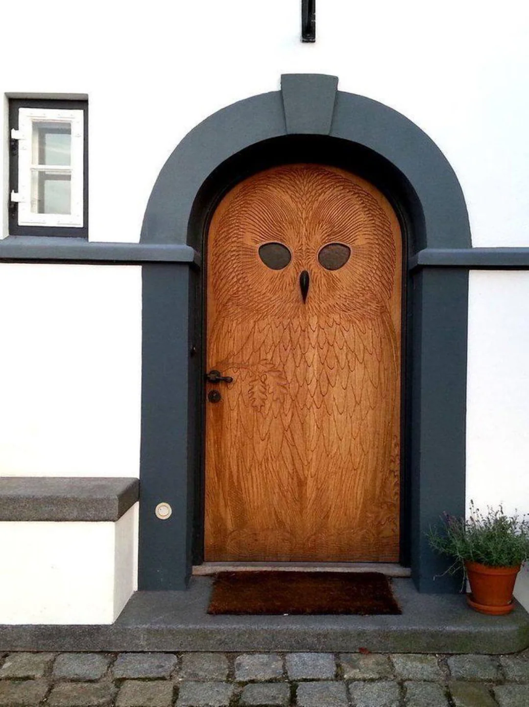 Darwin meme